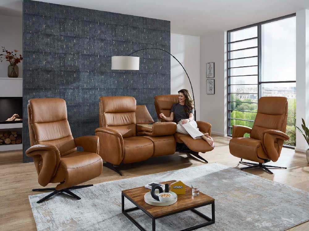 Ameublement  Salons, tables, chaises et meubles